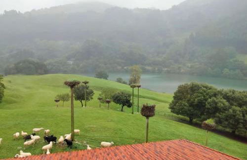 PequeñoCabárceno - Foto 35