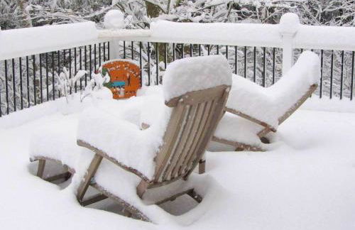 Stunning Weekend Getaway near Hickory Run State Park in Pennsylvania - Photo 22