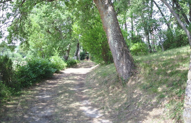 Scenic Escape in the Chianti - Photo 38