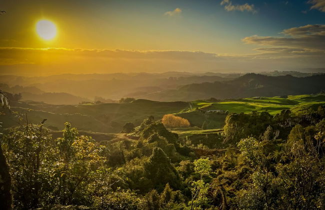 Te Tiro Accommodation - Foto 51