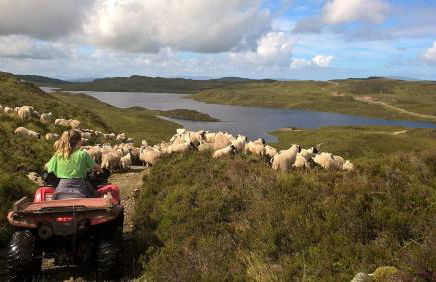 South Lodge - Foto 12