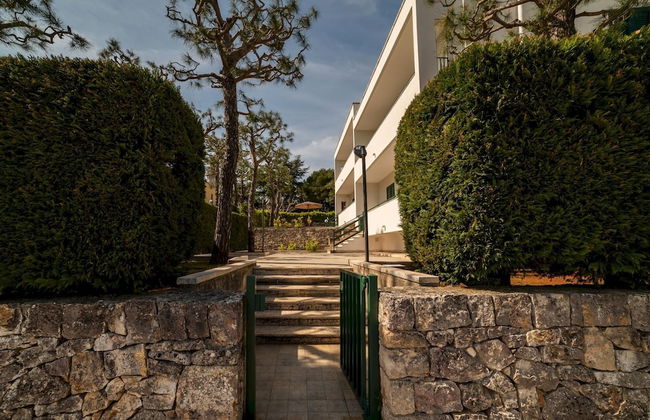 Gi al Minareto South - Foto 10