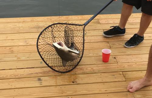 Northern Point of Treasure Island, New Port Richey - Foto 27