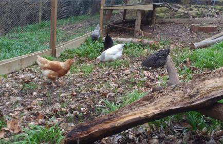 Doonbank Cottage Bothy - Foto 13