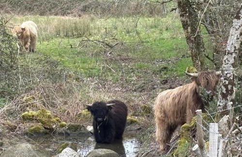 The Burrow, Oradour ST Genest - Foto 11