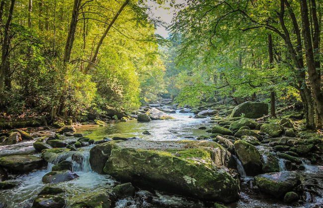 Lakeside Rest - Foto 35