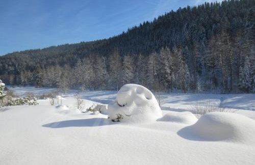 Holiday Home Tauchert - Foto 55