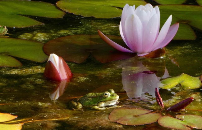 Vida-Vi, Country House and B&B - Foto 47