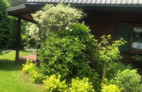 DOM Z BALI Villa Bajkowy Dom - Foto 55