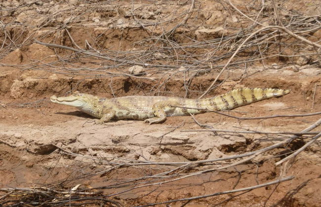 2, 3 or 4-Day Tres Chimbadas Lake Tour - Photo 8