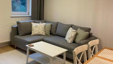 APARTAMENTY GUZIK 22 - Foto 4