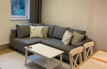 APARTAMENTY GUZIK 22 - Foto 4