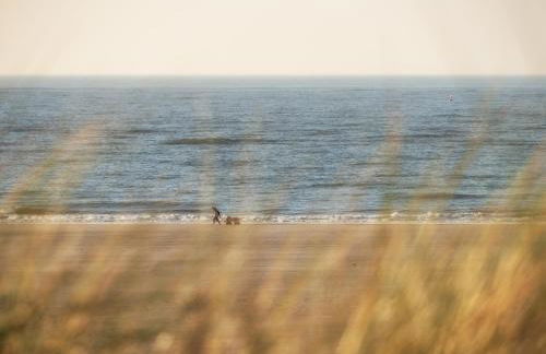 Dünenklause Düne 2 - Foto 15