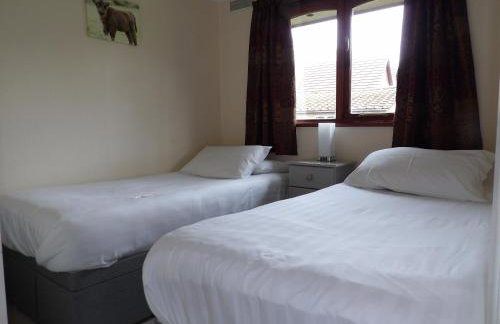 Hengar Select - Foto 17