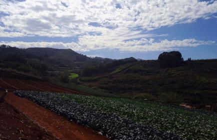 Llanos de la Corona by Villas Rivero - Foto 24
