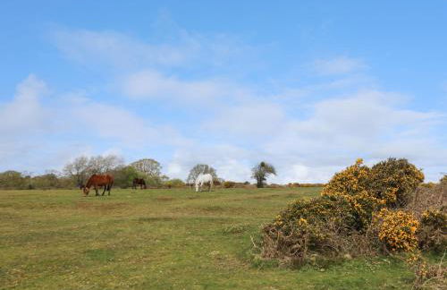 Plummers Water - Foto 25