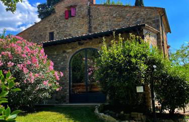 Casa nel bosco il Grottone - Foto 2