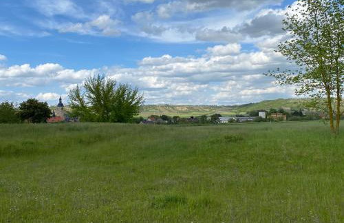 Weinbergblick Laucha Unstrut - Foto 1