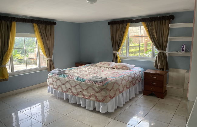 Pirate Palms - Foto 3