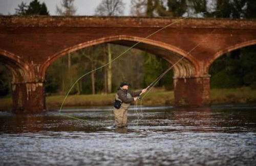 Pinewood Cottage - Quiet and peaceful Blairgowrie - Photo 13