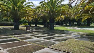 O Rincón de Paco - Foto 2