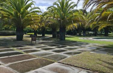 O Rincón de Paco - Foto 2