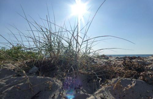 Haus am Dorfteich Kopendorf, Wohnung 1 - Foto 15