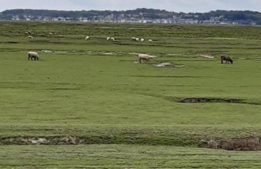 Les Obiones, vue latérale mer, Fort Mahon Plage, magnifique studio cabine 4p, avec balcon , parking privé gratuit, wifi, classé 2 étoiles, exposition plein sud en Baie de Somme - Foto 42