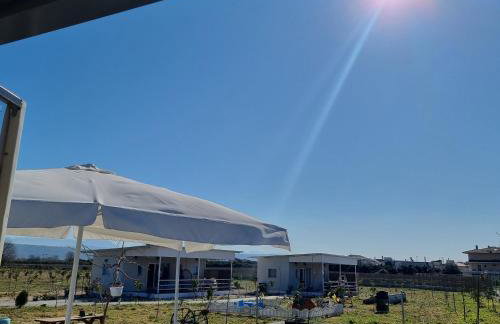 Agroktima Arta - Farm Stay - Foto 42