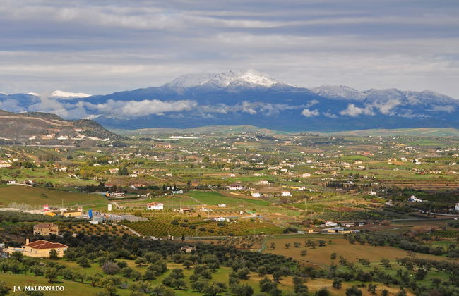 TOTTAM EXPERIENCE - Foto 49