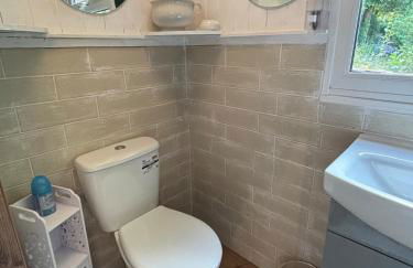 Cabin centrally Located in the Cornish Countryside - Foto 38