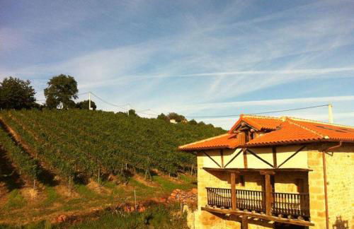 Bodegas Vidular - Foto 3