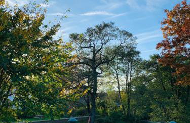 Holly Cottage - Village location, 2miles from Penrith, Lake District - Foto 18