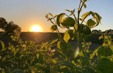 Dom z jacuzzi & tarasem całoroczny do 10 osób DOM NA PROMOWEJ - LAS, Zator - Photo 34
