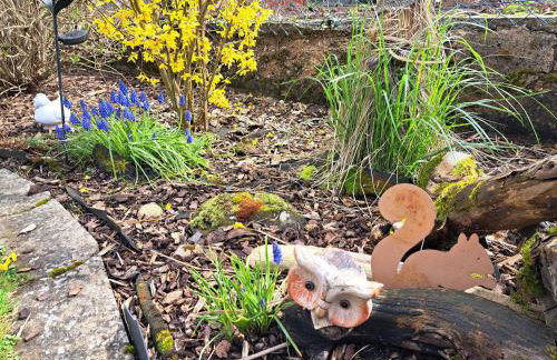 Pension Andrea - Photo 6