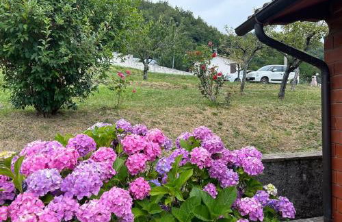 Villino Cecchini - Foto 37