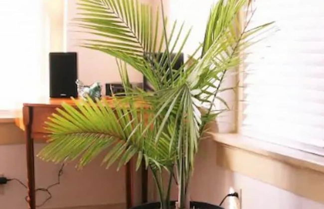 Evie's apartment - Photo 57