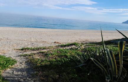 Vista Torre 2 - Foto 8