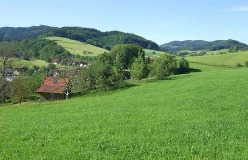 Sonniges-naturnahes-Schwarzwald-Ferienhaeuschen - Foto 14