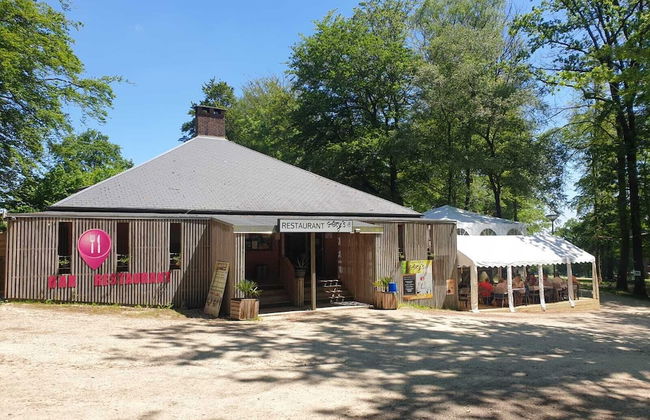 Etape en forêt - Foto 2