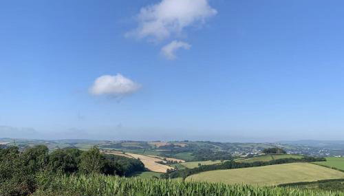 The Cabin at Barnstormers, luxury woodland setting - Foto 5