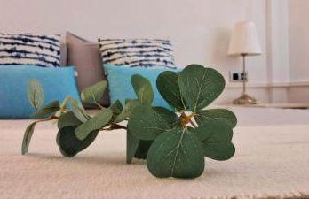 Apartamento Verdemare - Photo 30