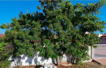 Chalé funcional, equipado - Foto 14