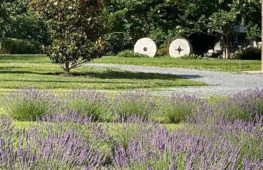 Riverview Suite at La Soledad - Foto 11