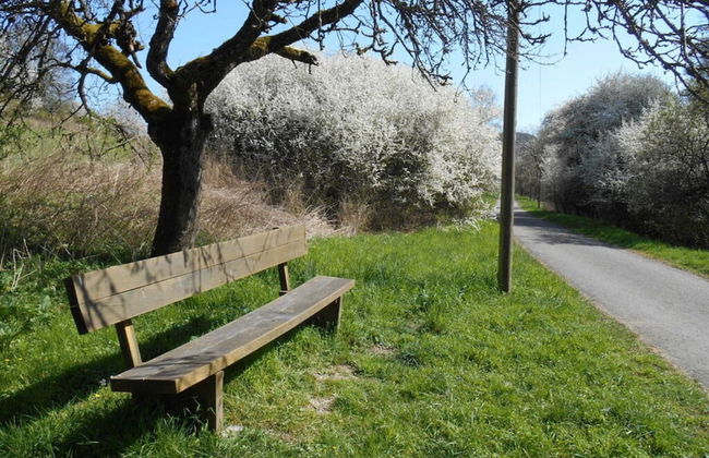 Charming Apartment in Mandelbachtal - Foto 14