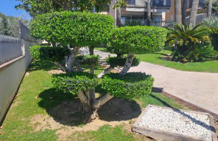 Port Aventura 5 min à pied - Superbe appartement - Foto 38