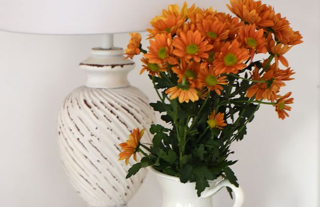 Hydra's Pearl - Foto 38