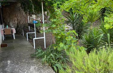 Apartments Despotović - Photo 16