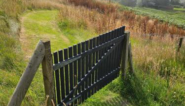 Faodail 'a lucky find' - Foto 4