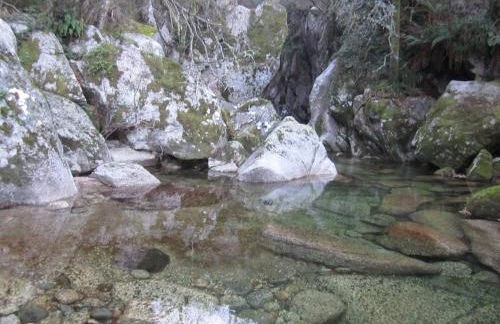 Casa Ferreira - Foto 50